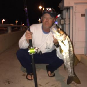 Meet your Posher, Sam